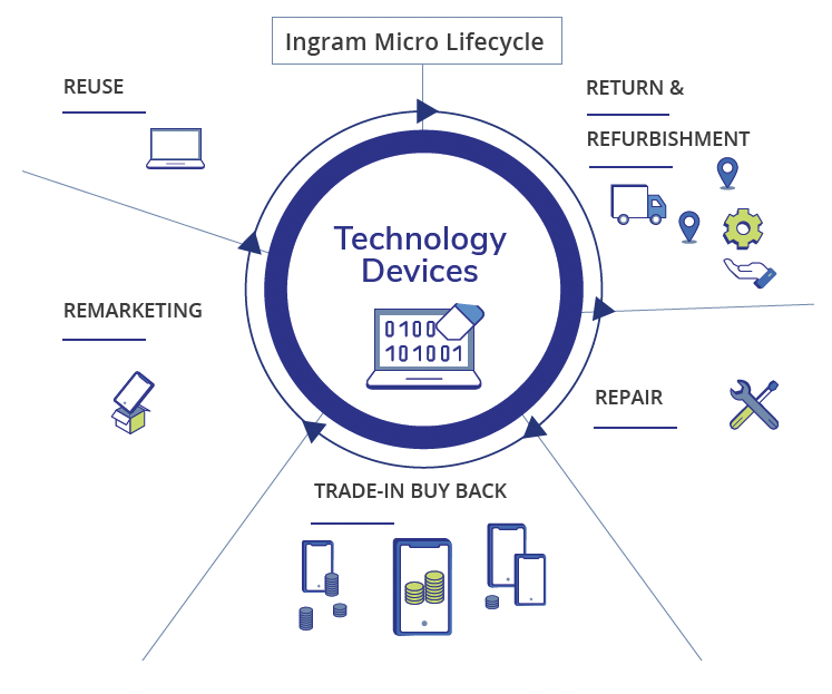 Ingram lifecycle grap